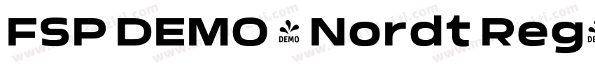 FSP DEMO - Nordt Reg字体转换